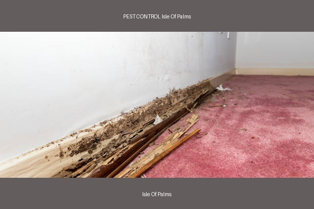 PEST CONTROL Isle Of Palms